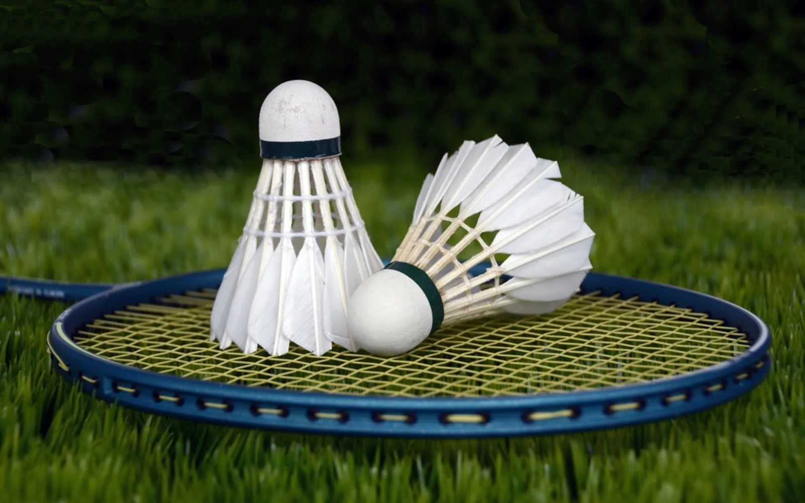 Raket dan kok badminton di Laga Sport