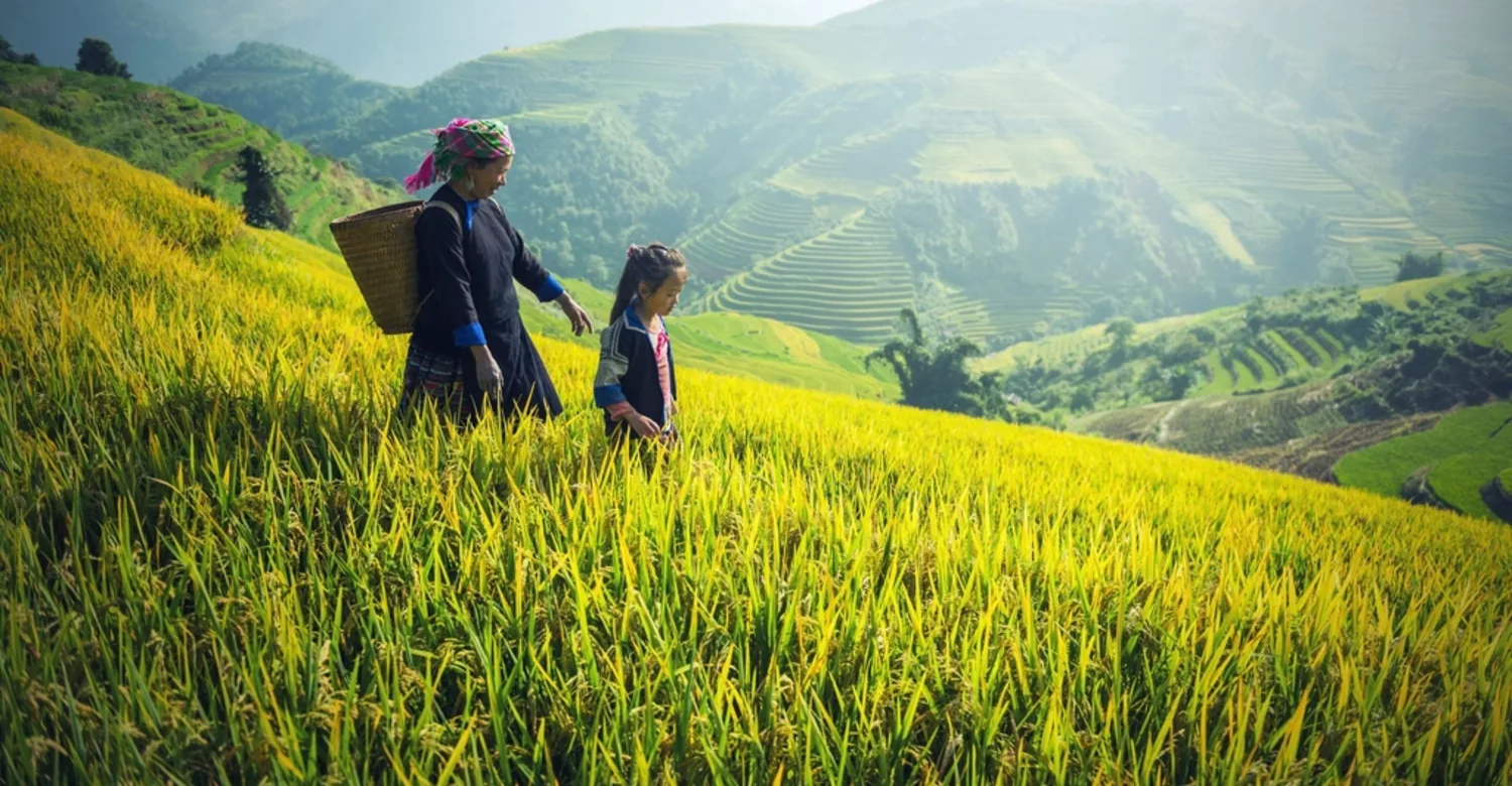 Petani di sawah berteras binaan Tani Rukun