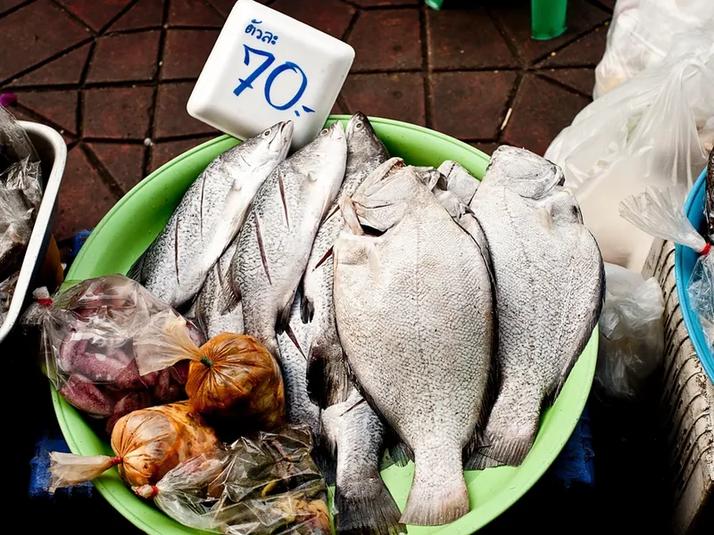 Sisa hari ini tidak dijual besok